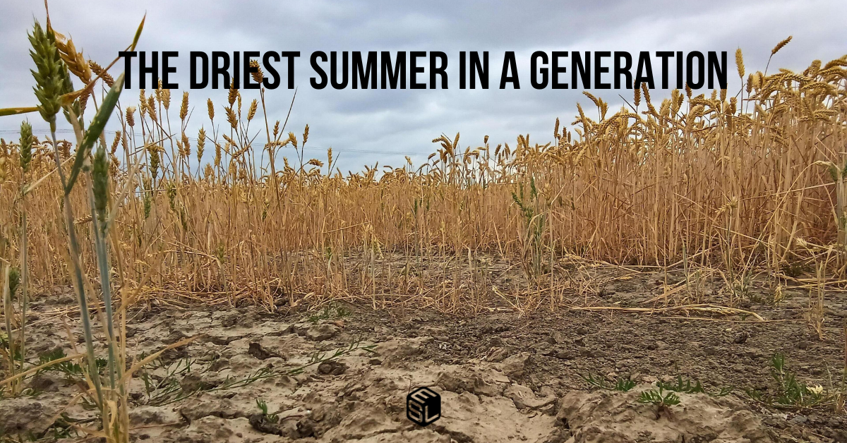 The Driest Summer in a Generation, and What It Means for Your Menu